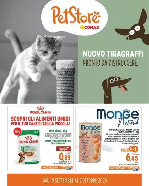 Anteprima del volantino