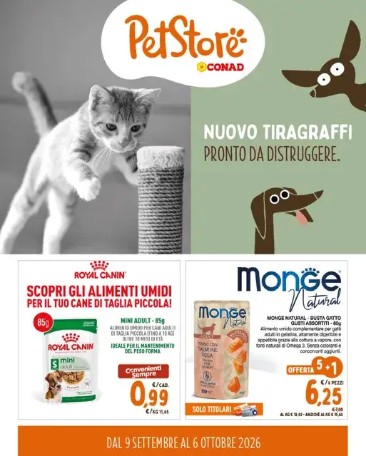 Anteprima del volantino
