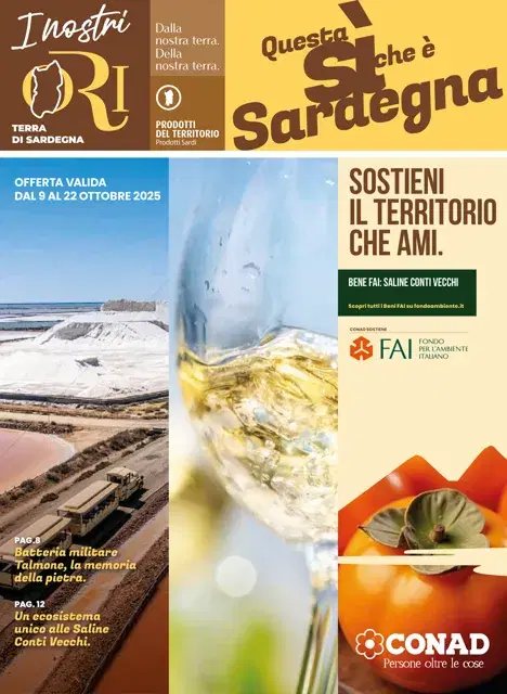 Anteprima del volantino