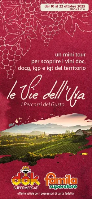 Anteprima del volantino
