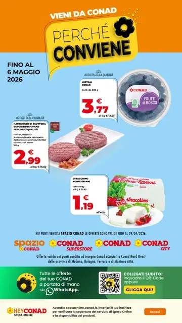 Anteprima del volantino