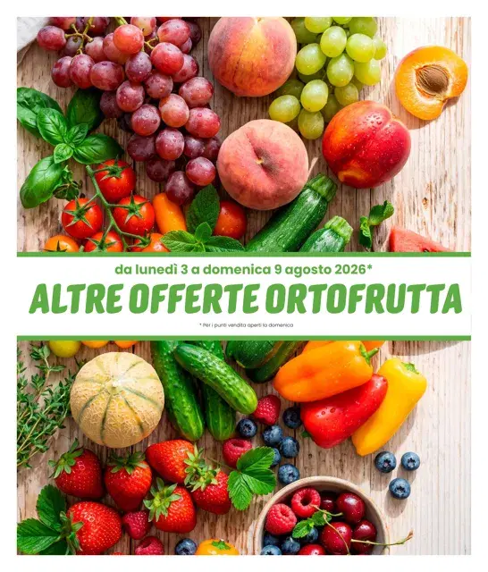 Anteprima del volantino