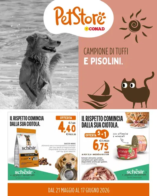 Anteprima del volantino