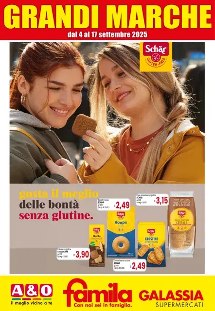 Anteprima del volantino