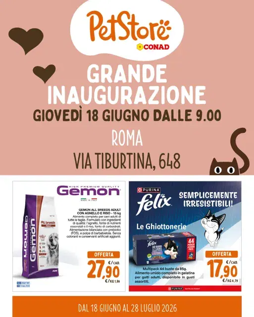 Anteprima del volantino