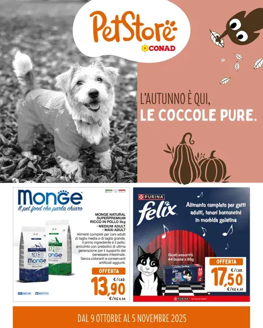 Anteprima del volantino