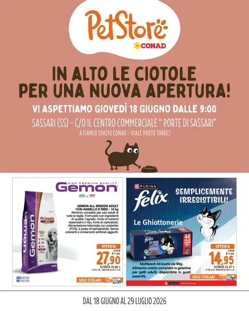 Anteprima del volantino