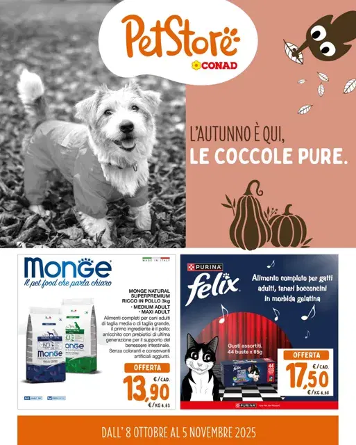 Anteprima del volantino