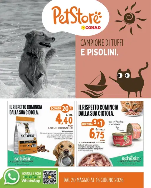 Anteprima del volantino