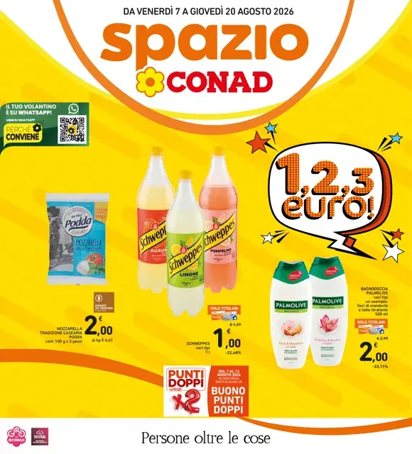 Anteprima del volantino