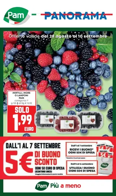 Anteprima del volantino