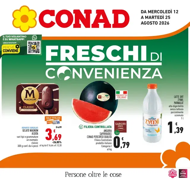 Anteprima del volantino