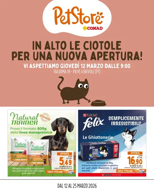 Anteprima del volantino