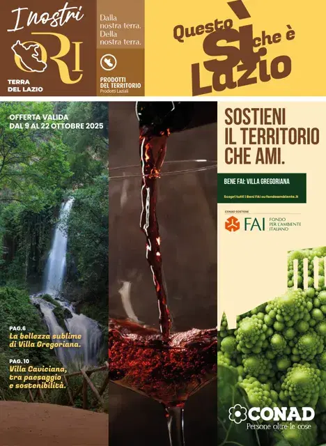 Anteprima del volantino