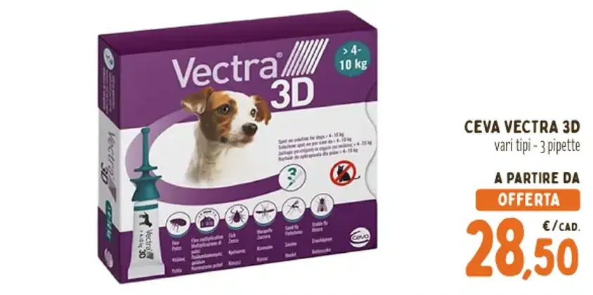 Anteprima dell'offerta