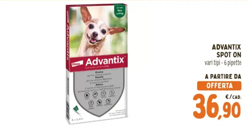 Anteprima dell'offerta