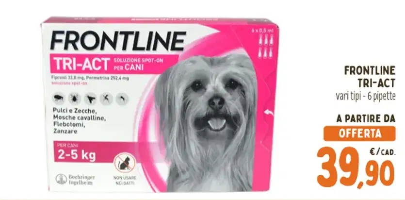 Anteprima dell'offerta